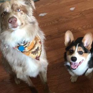 Meet your Posher, Samantha